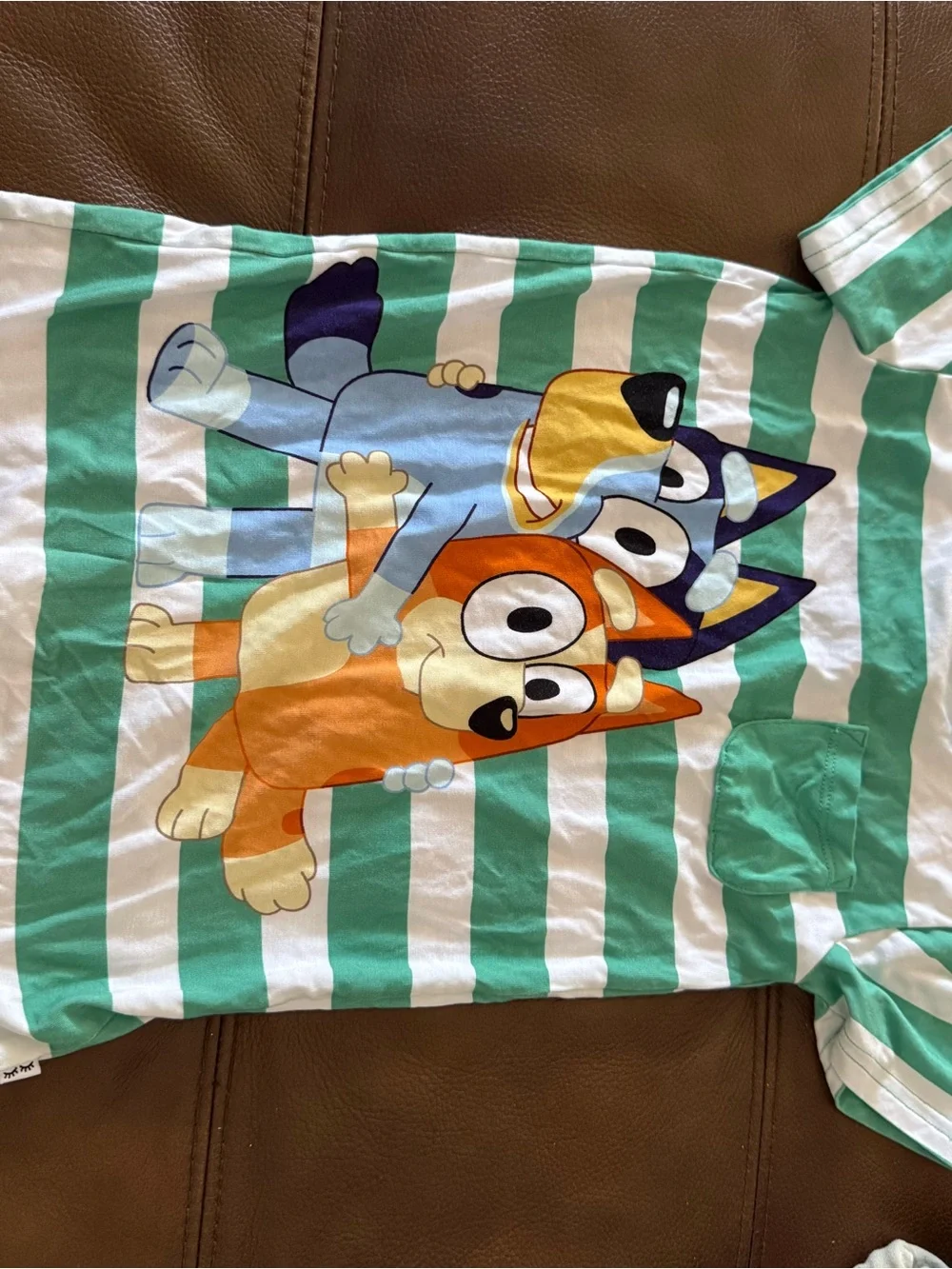 Little Sleepies Green and White Striped Bluey Print One-Piece